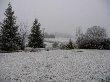 It's snowing in Atascadero!